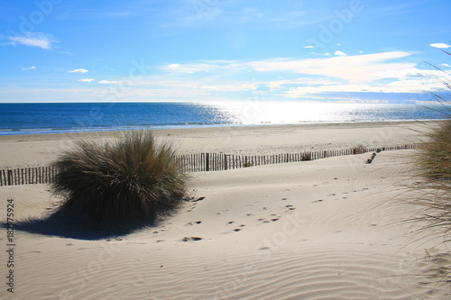 Fototapeta Naklejka Na Ścianę i Meble -  Plage de sable fin en méditerranée, sud de France