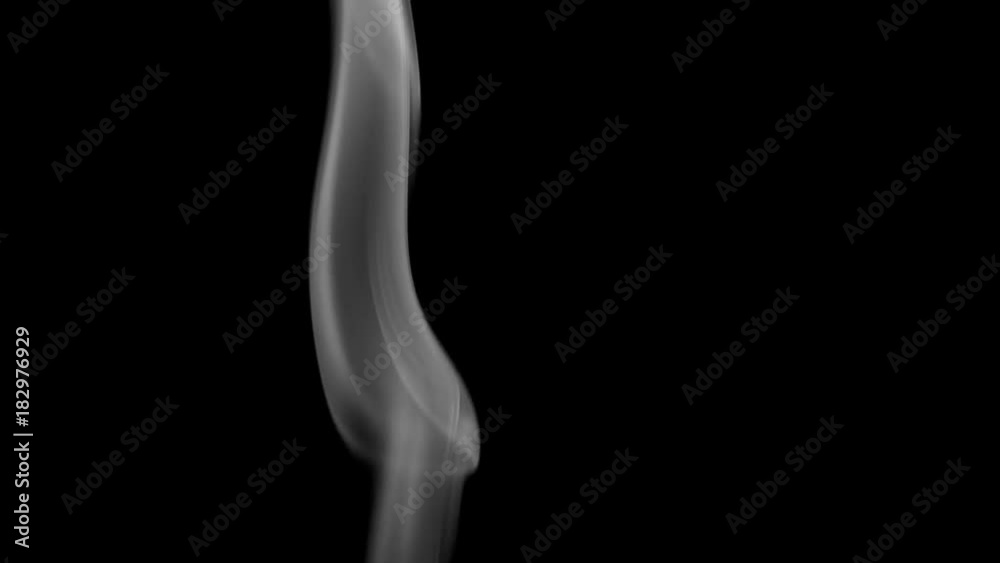 White Curls of Smoke on Black. White clearly expressed smoke slowly rises from the bottom of the screen and forms elegant twists on a black background. Filmed at a speed of 240fps White Curls of Smoke on Black. White clearly expressed smoke slowly rises from the bottom of the screen and forms elegant twists on a black background. Filmed at a speed of 240fps