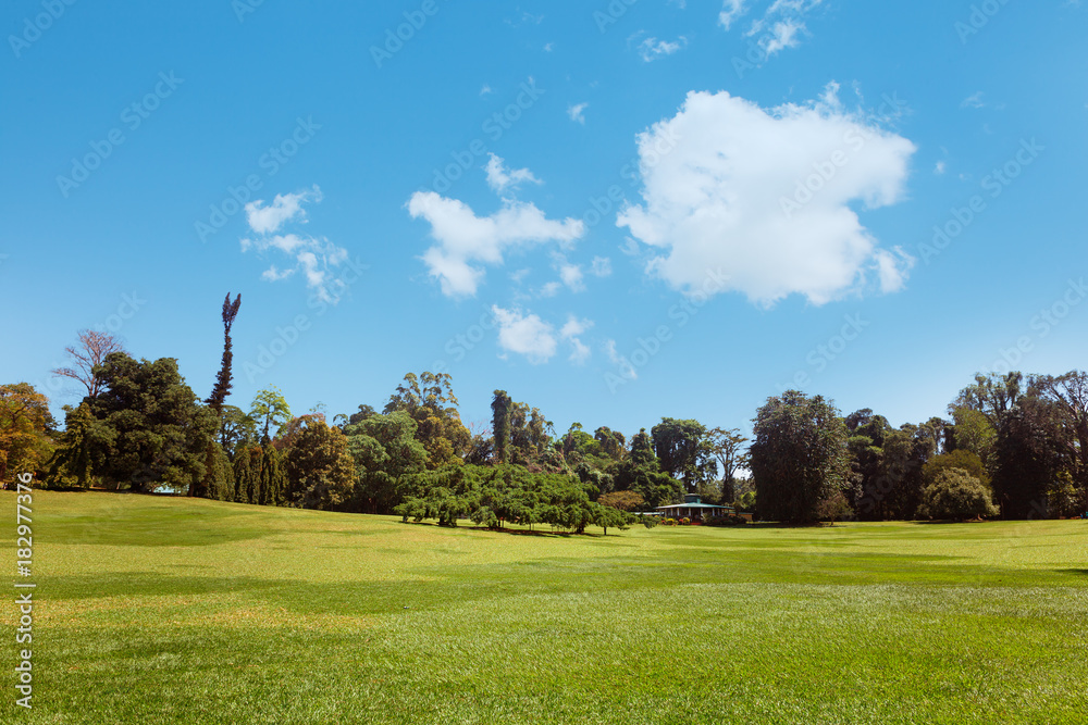 Fototapeta premium Panoramic view of Royal Botanical King Gardens, Peradeniya, Sri Lanka