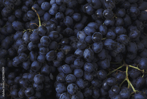 Red wine background dark grapes blue