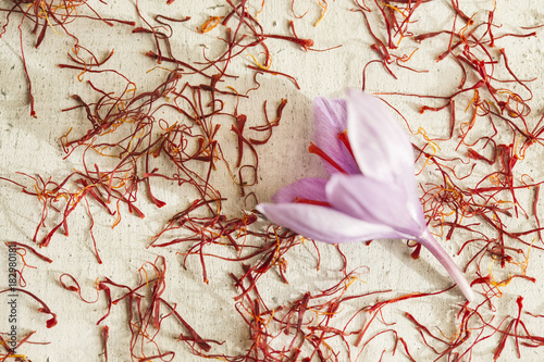 one saffron flower and a lot of drying saffron types photo