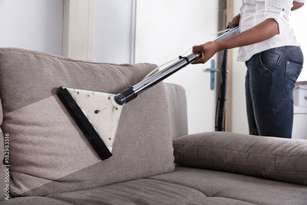 Housewife Cleaning Sofa With Vacuum Cleaner Stock Photo | Adobe Stock
