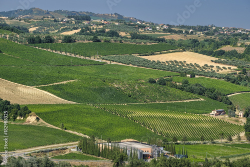 Landscape near Teramo (Abruzzi) at summer