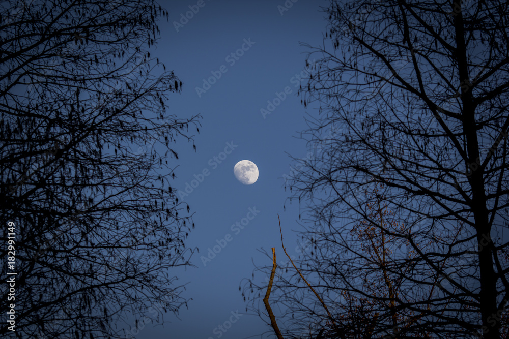 Moon in a clean night Moon in a clean night