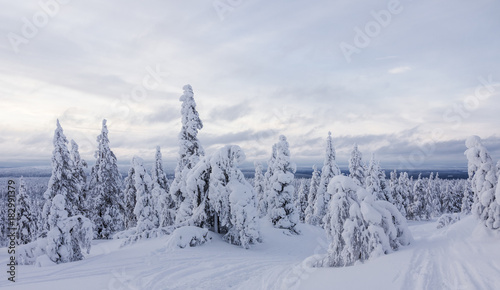 Beautiful winter landscape from Northern Finland