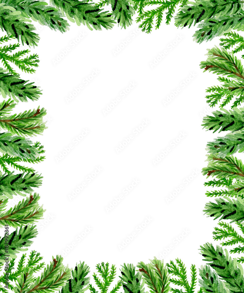 Christmas floral background with fir branch