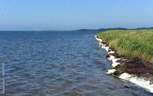 Insel Rügen, Insel Ummanz, photo