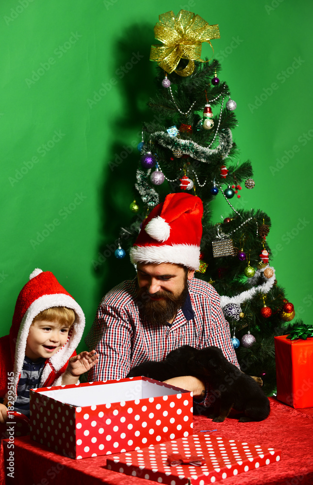 Pet for Christmas. Dad with beard and kid hold dogs Pet for Christmas. Dad with beard and kid hold dogs