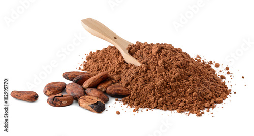 Cocoa beans and heap of Cocoa powder isolated on a white background. Macro with full dept of field