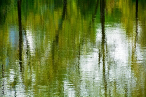 abstract colorful of tree reflection on the water
