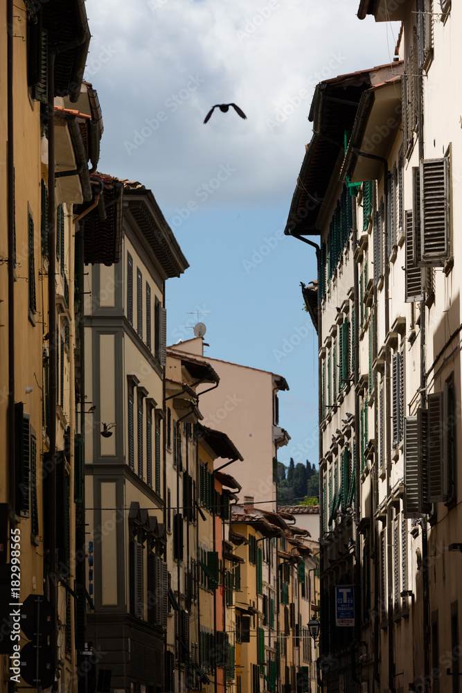 Florence, historical center