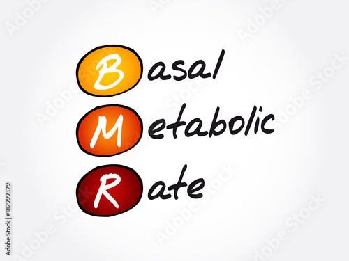 BNR - Basal Metabolic Rate acronym, concept background Stock Vector | Adobe  Stock