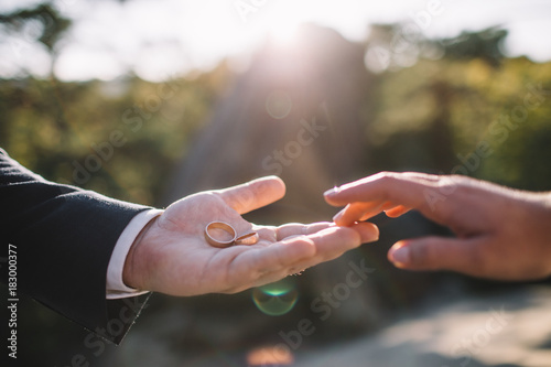 Bride and groom holding hands in a ring © VAKSMANV