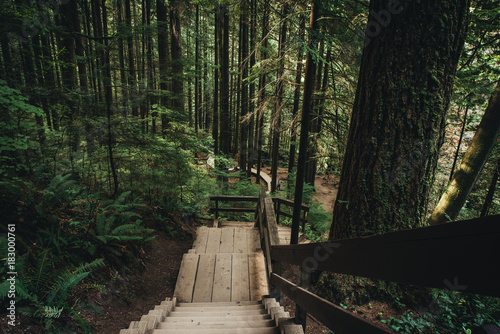 Lynn Valley Bridge North Vancouver Canada