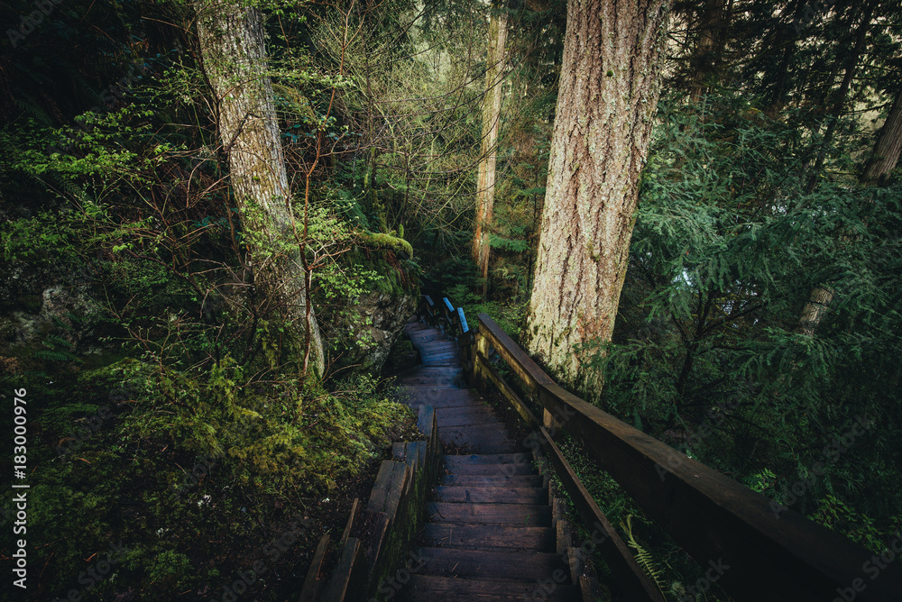 Lynn valley North Vancouver Canada Lynn valley North Vancouver Canada