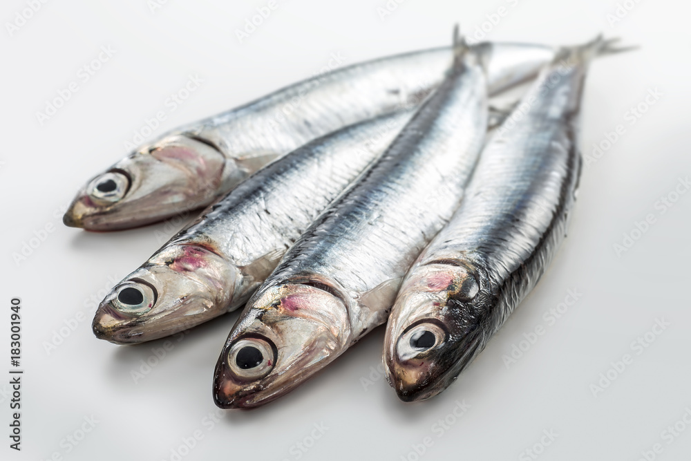 Four fresh anchovies isolated on white background Four fresh anchovies isolated on white background