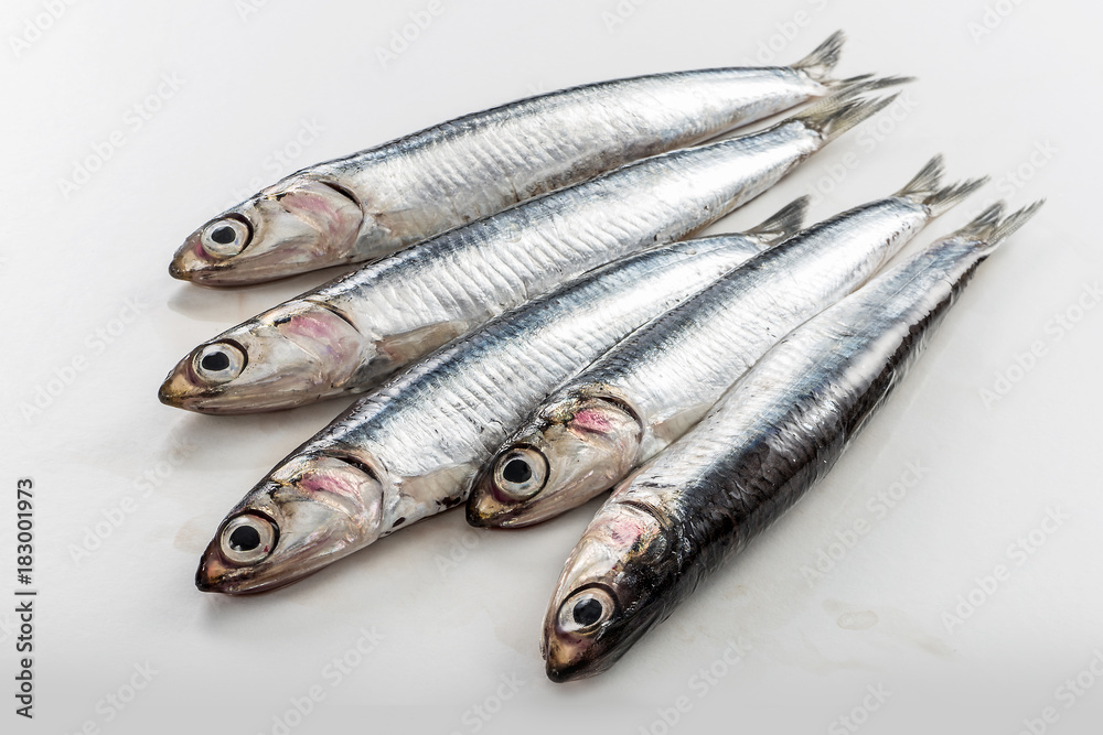 Five fresh anchovies isolated on white background Five fresh anchovies isolated on white background