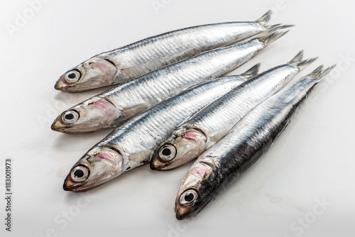 Five fresh anchovies isolated on white background