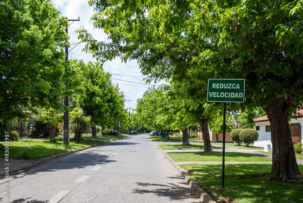 Street in residential area with road sign in Spanish meaning 'Slow down'