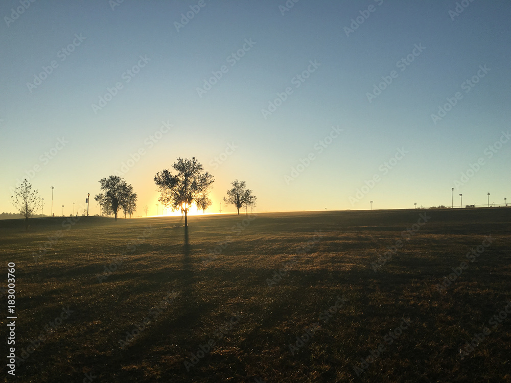 Sunrise landscape