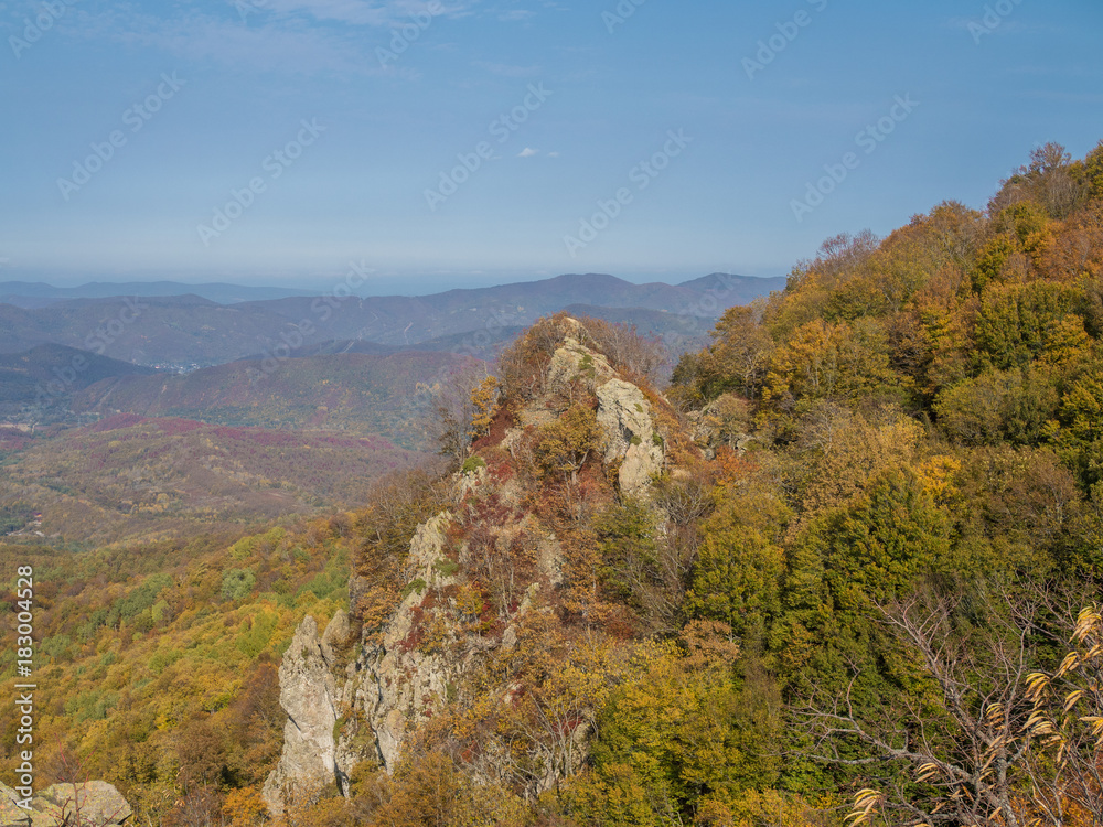 Weekend in the mountains. Climb to the top through the forest.