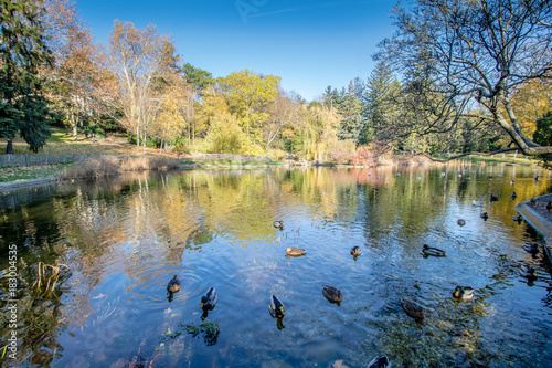 Herbst in dem Türkenschanzpark in Wien, Österreich photo