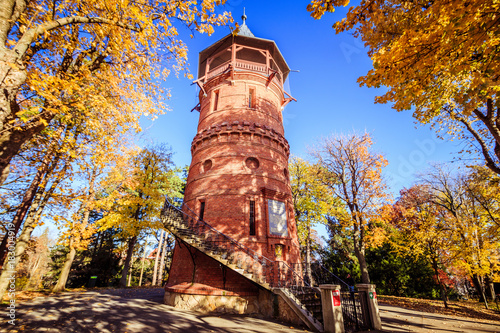 Herbst in dem Türkenschanzpark in Wien, Österreich photo