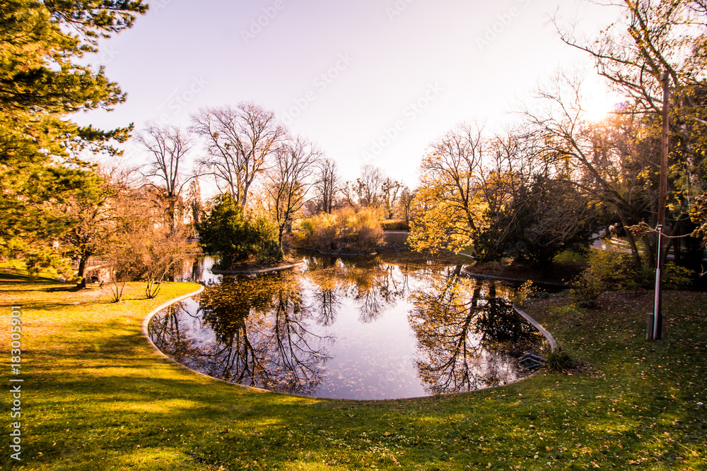 Fototapeta premium Herbst in dem Türkenschanzpark in Wien, Österreich