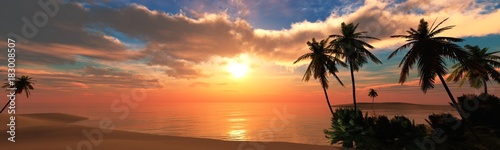 beautiful sea sunset on the beach with palm trees 