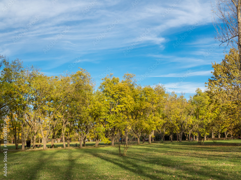 Naklejka premium City park on a sunny autumn day.