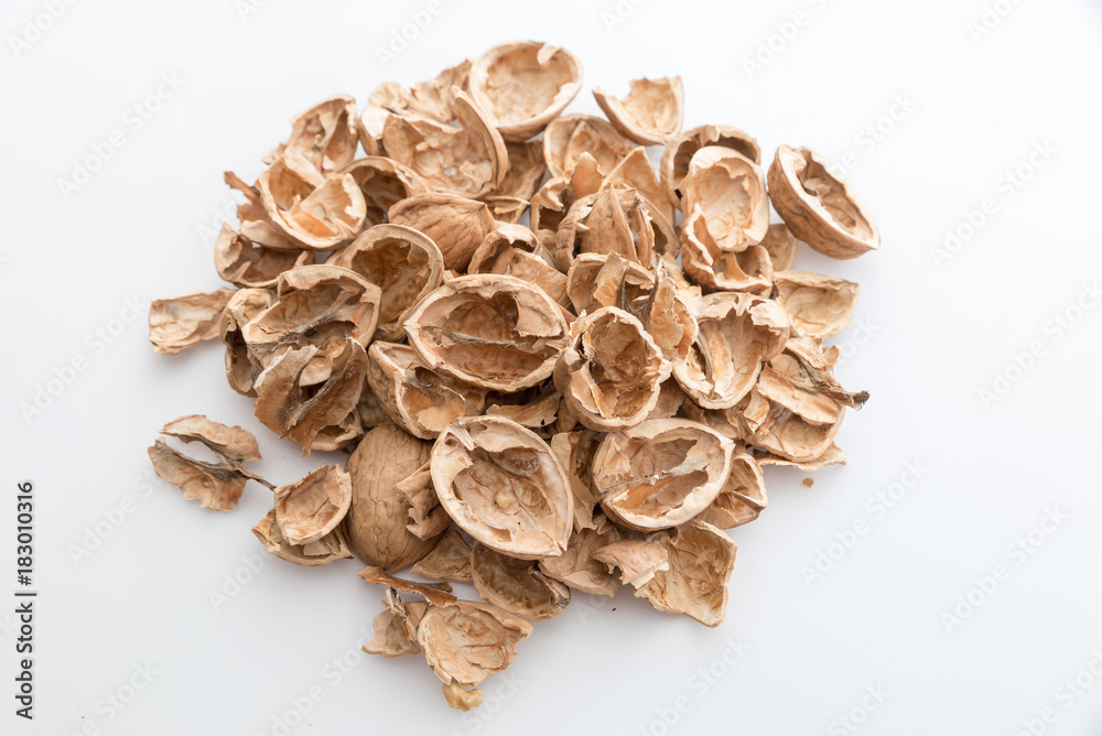 Pile of shells nutshells Pile of shells nutshells