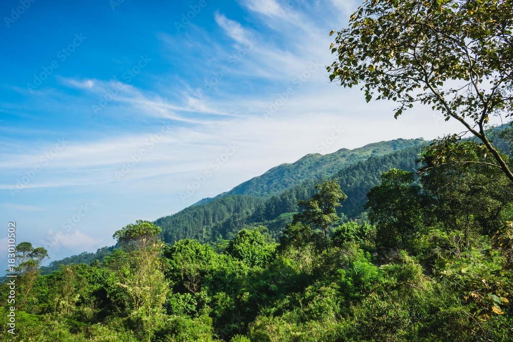 Beautiful mountains in Sri Lanka 