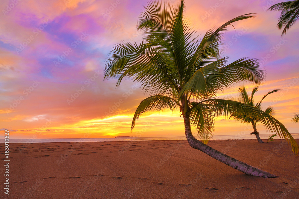 Tropical Paradise Sunset with Palm Trees and Purple Skies