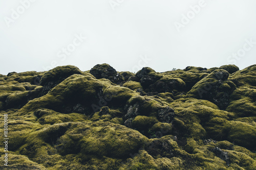 Mossy Landscape In Iceland