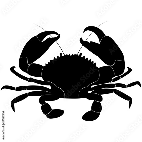 Vector image of crab silhouette