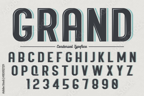 Decorative vector vintage retro typeface