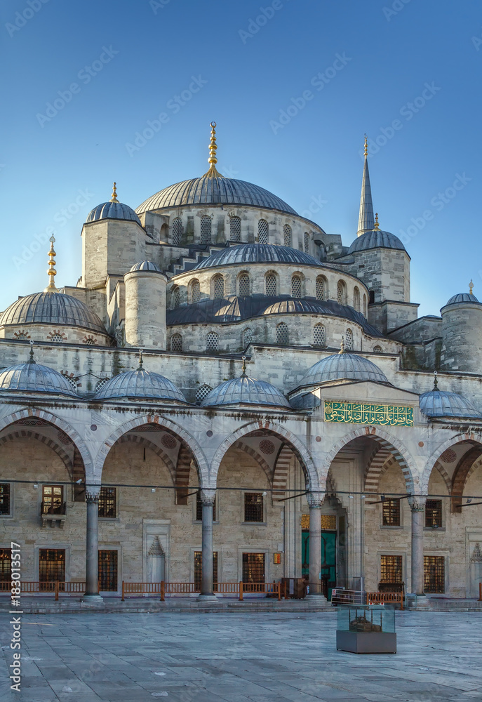 Fototapeta premium Sultan Ahmed Mosque, Istanbul
