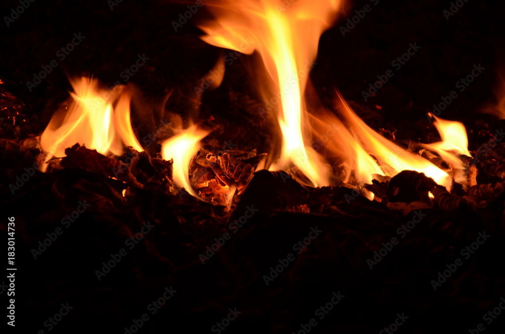 fuoco fuoco