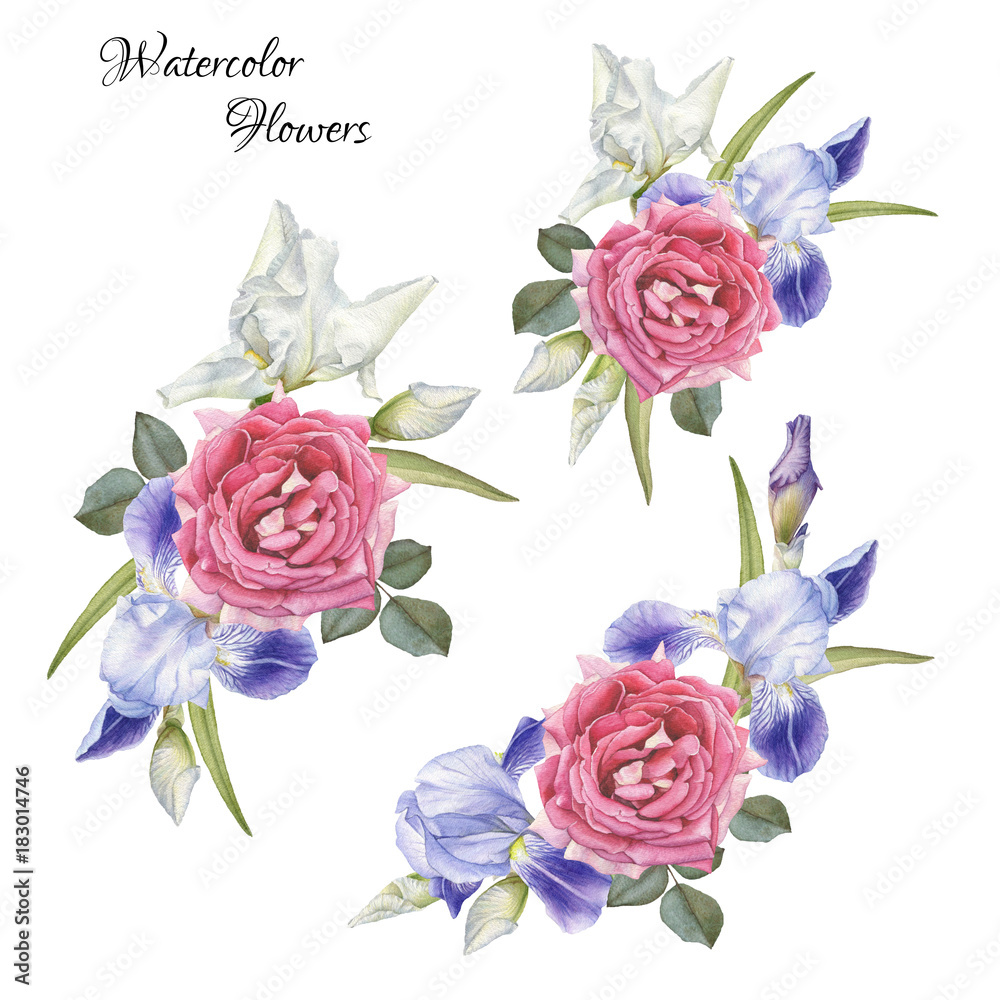 Bouquet of flowers. Flowers set of hand drawn watercolor roses and irises