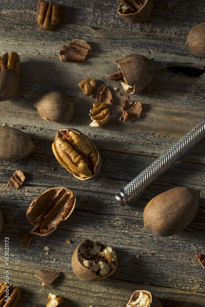 Raw Brown Organic Shelled Pecans Raw Brown Organic Shelled Pecans
