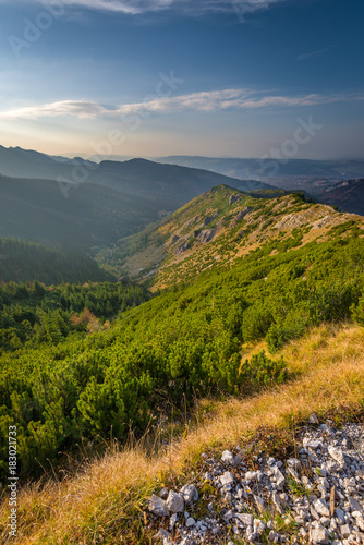 Fototapeta Naklejka Na Ścianę i Meble -  Mountains between hillocks defile. Tatra mountains, Poland