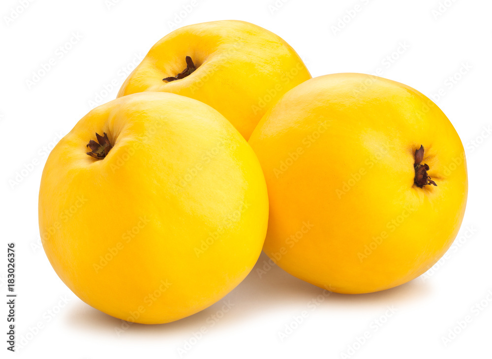 quince quince