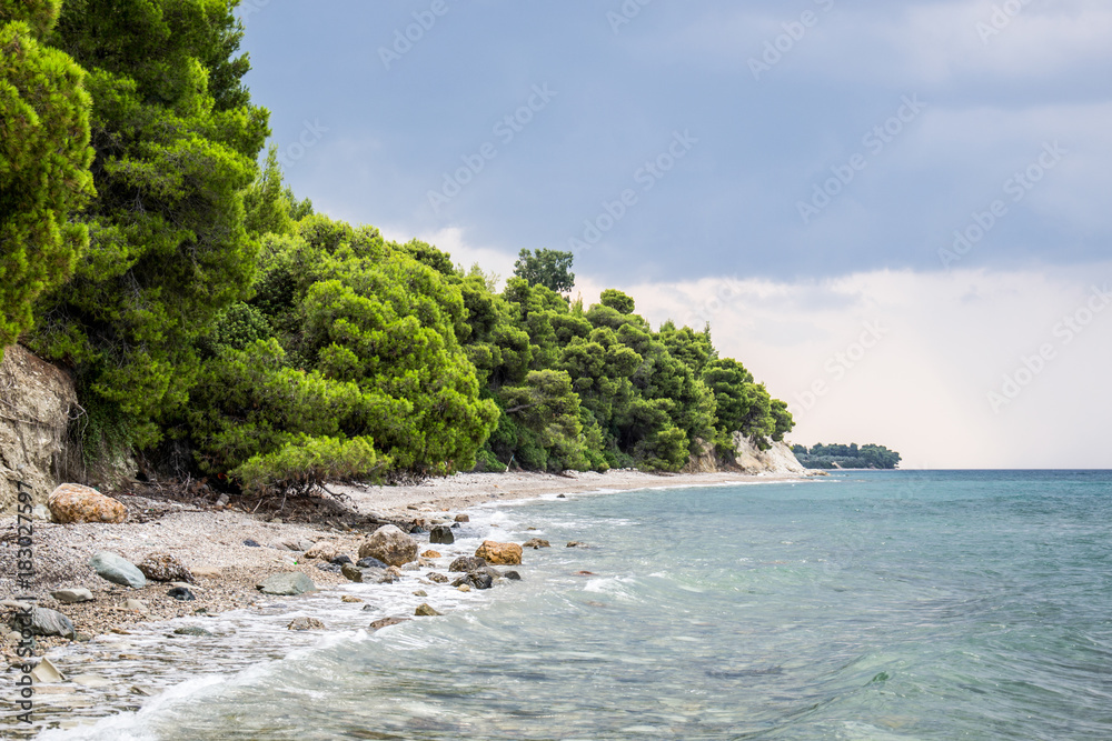 Fototapeta premium untidy wild beach