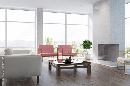 White living room interior pink armchairs side