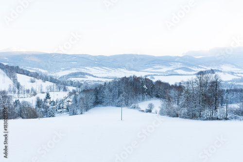Trees covered with snow on a winter mountain © Roman's portfolio