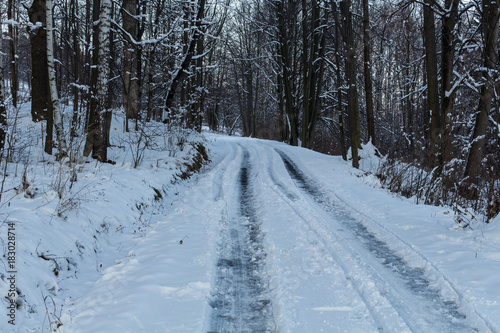 Winter landscape with snowy trees and snowmobile path © Roman's portfolio