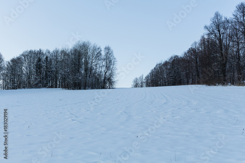 Winter park in snow © Roman's portfolio