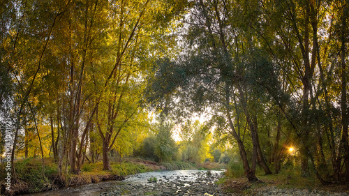 bucolic autumn forest and river. north of spain. photo