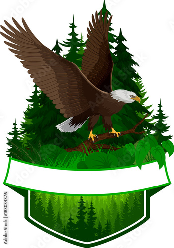 vector woodland emblem with bald eagle