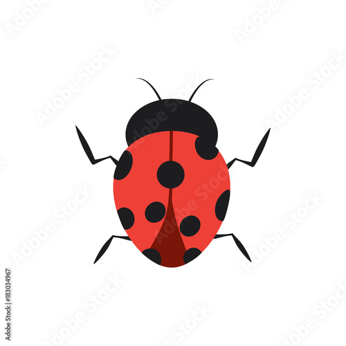 beetle ladybug insect bug icon image vector illustration design 